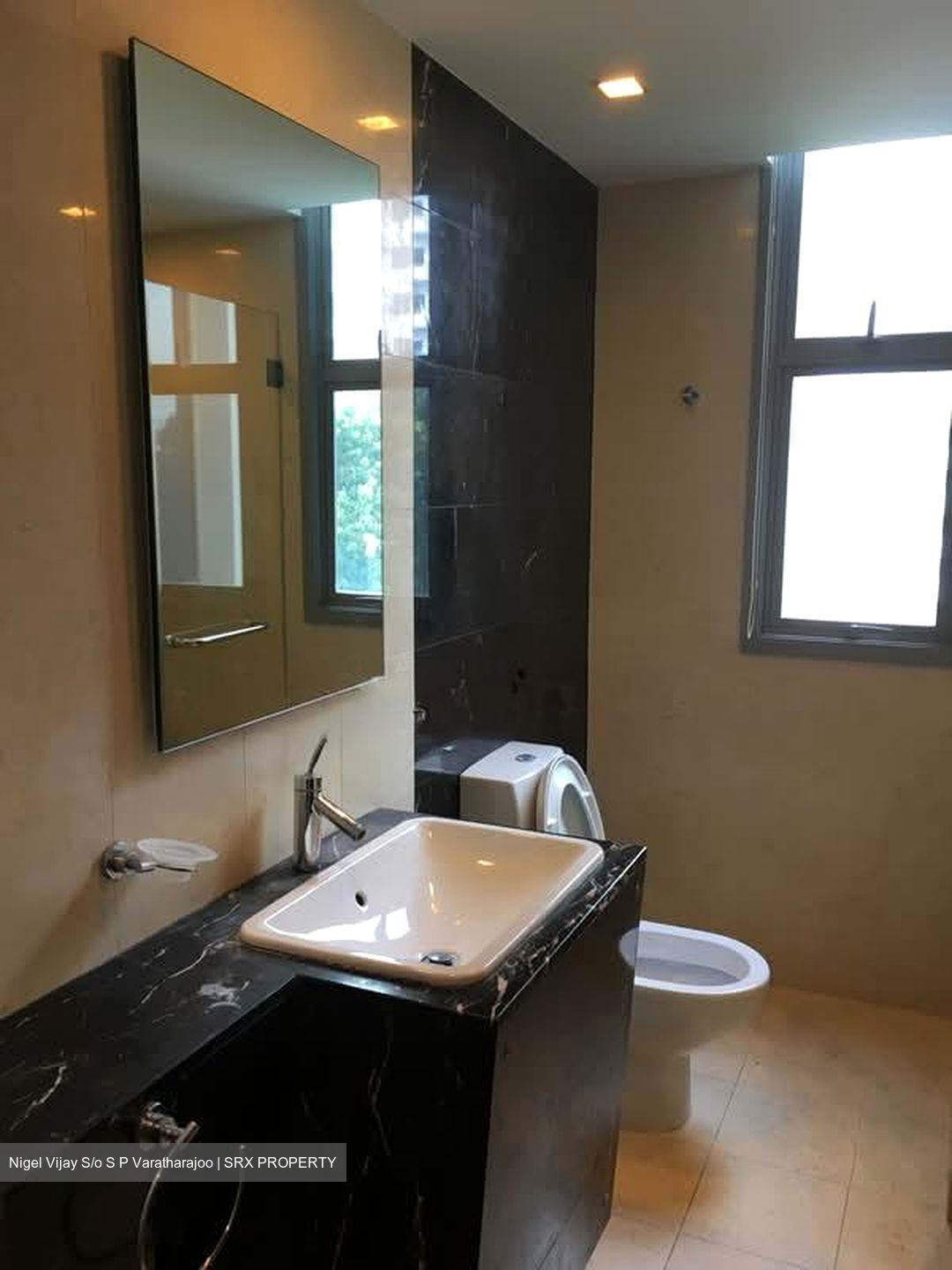 Residences @ Evelyn (D11), Condominium #580681311